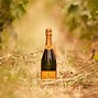 Image result for Moet Hennessy