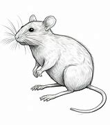 Image result for Rat Mask Drawing