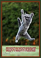 Image result for Happy Friday Cute Animals