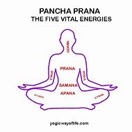 Image result for 5 Prana Art Pinterest