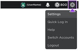 Image result for Account Settings Roblox