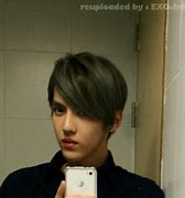 Image result for Kris Exo