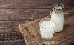 Image result for Best Milk Substitute