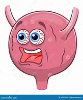 Image result for Bladder Chart Cartoon