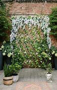 Image result for Greenscreen Trellis