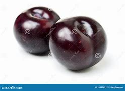 Image result for Black Plum Fruit