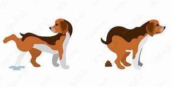 Image result for Dog Poop Drawing