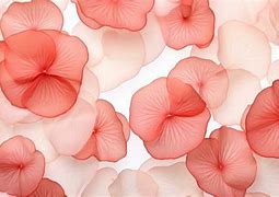 Image result for Flowerr Petal Pattern