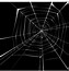 Image result for Spider Web Vector