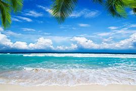 Image result for Landscaped Path Beach