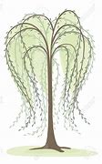 Image result for Willow Tree Drawing