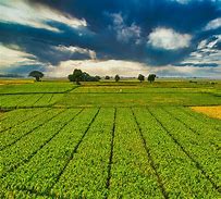 Image result for Farming Stock Image