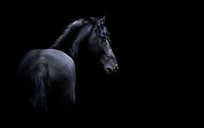 Image result for Dark Hare Horse