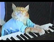 Image result for Cat Playing Piano Meme