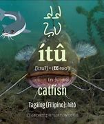 Image result for Itu Meaning