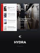 Image result for Hydra ISP