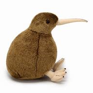 Image result for Kiwi Plush Toy