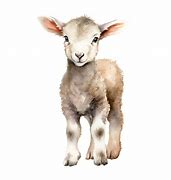 Image result for Lamb Vindaloo HD PNG