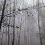 Image result for Foggy Path Landscape