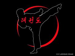 Image result for Taekwondo Symbol