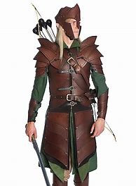 Image result for Heavy Armor Elf Warrior