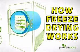 Image result for Freeze-Drying Hide