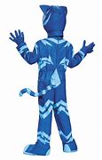 Image result for PJ Masks Cat Boy Costume