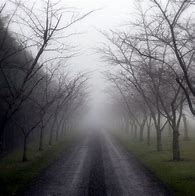 Image result for Horror Mist