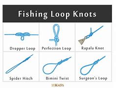 Image result for Fishing Knots Diagrams for Beginners