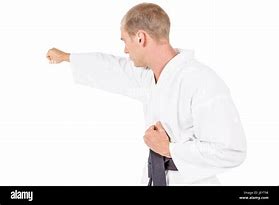 Image result for Karate Front Stance