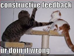 Image result for Feedback Video Funny