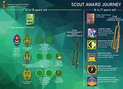 Image result for Girl King Scout Award Image