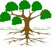 Image result for Tree and Roots Diagram