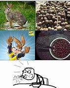 Image result for Nesquik River Meme