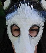 Image result for Possum Mask