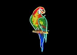 Image result for Neon Ride Fly Robin