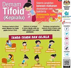 Image result for Poster Demam Tifoid