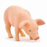 Image result for Jimmy Pig Toy