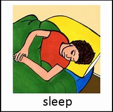 Image result for Peckidna MSM Sleep