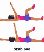 Image result for Dead Bird Exercise