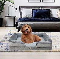 Image result for Dog Mat for Sofa