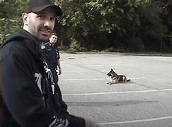 Image result for Police Car K9 Dog