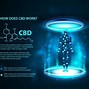 Image result for CBD Map Poster