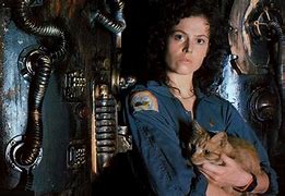 Image result for JonesY Cat Alien