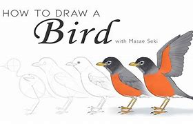 Image result for How Do You Draw a Bird