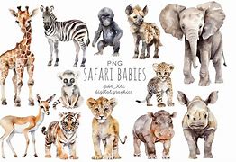 Image result for Baby Boy Jungle Animals Clip Art