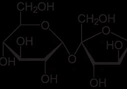 Image result for What Is Sucrose