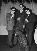 Image result for The Beatniks Pot