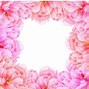 Image result for Peony Vector