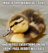 Image result for Throwaway Account Meme